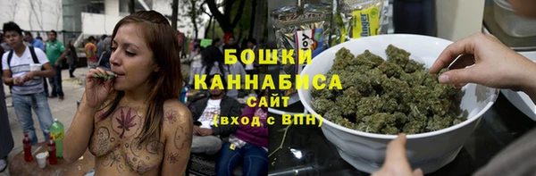 гидра Рославль