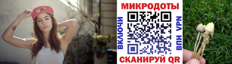 blacksprut ссылки  Волжск  Псилоцибиновые грибы Cubensis 